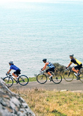 Big Sur Biking Trips